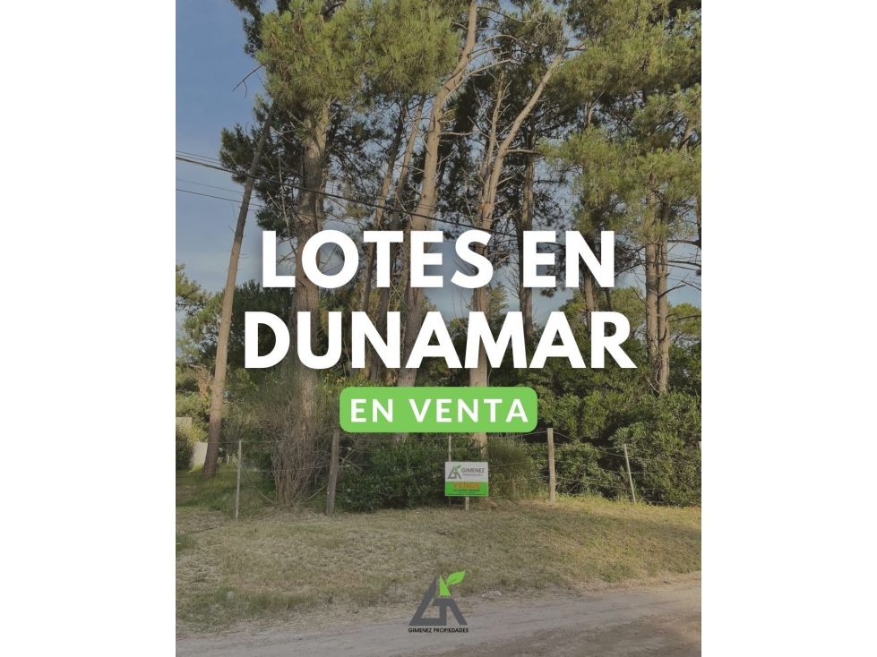 LOTE EN DUNAMAR Calle REMEDIOS DE ESCALADA e/ La Pampa y Santa fe - 1