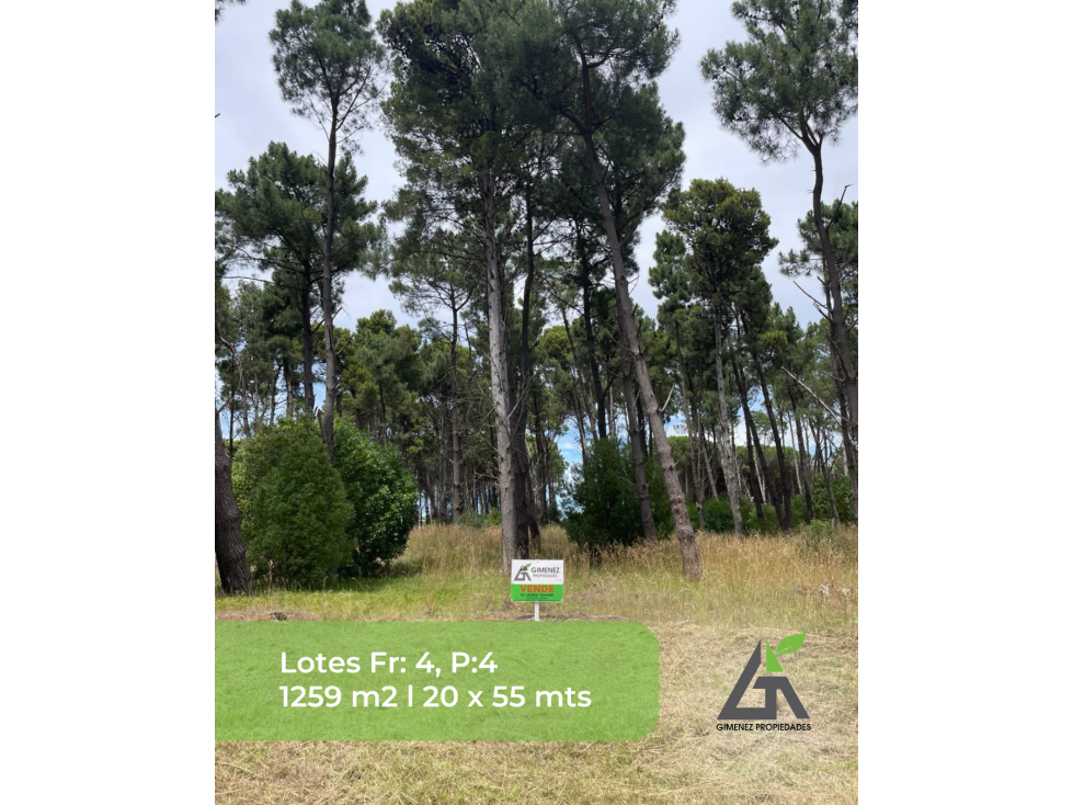 LOTES ADENTRO DEL GOLF 600 m2 y 1.200m2 - 4