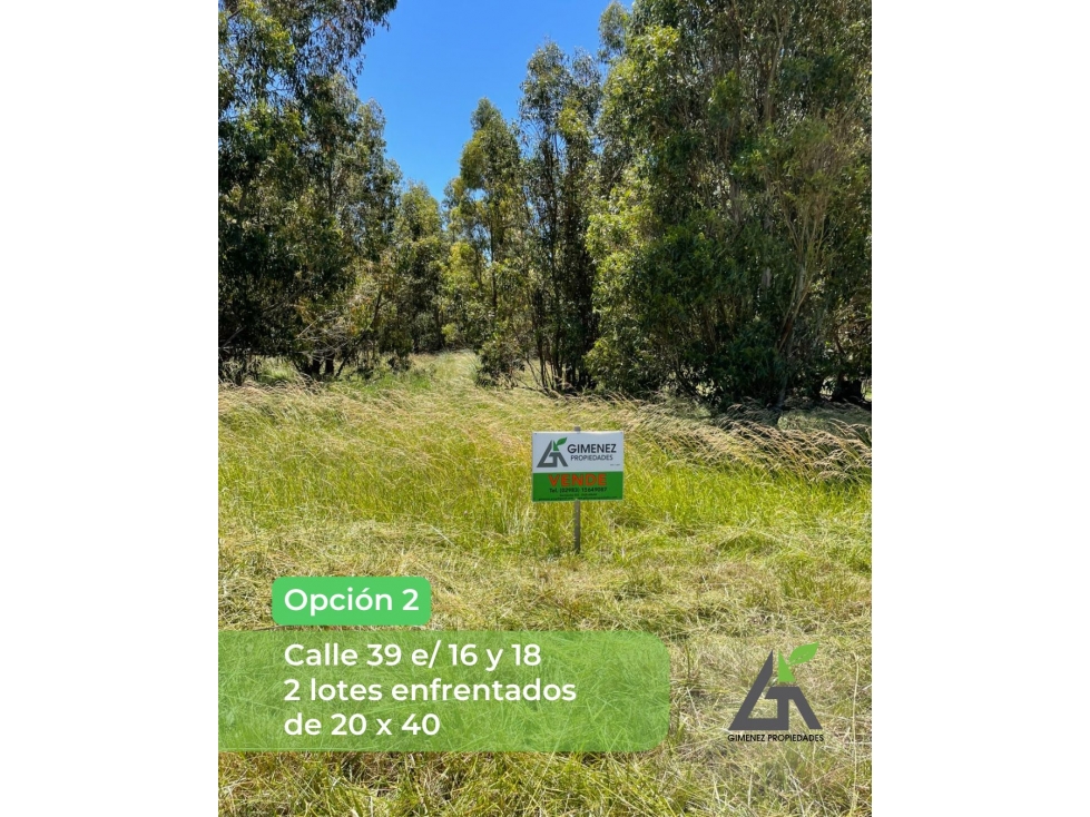 Lotes en Zona Golf Claromecó l 600m2 y 800m2 - 4