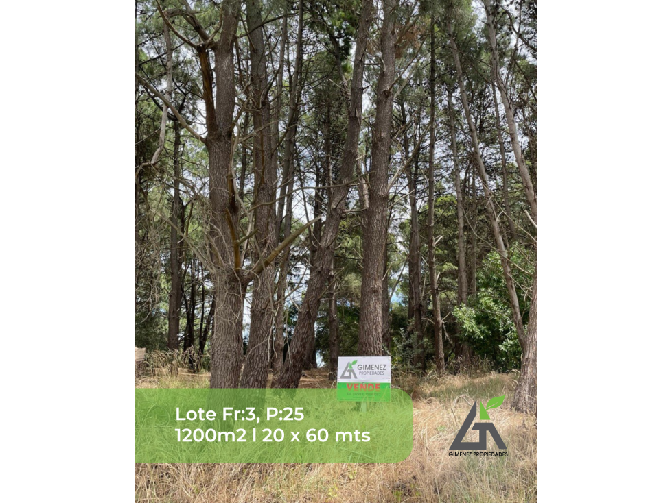 LOTES ADENTRO DEL GOLF 600 m2 y 1.200m2 - 5