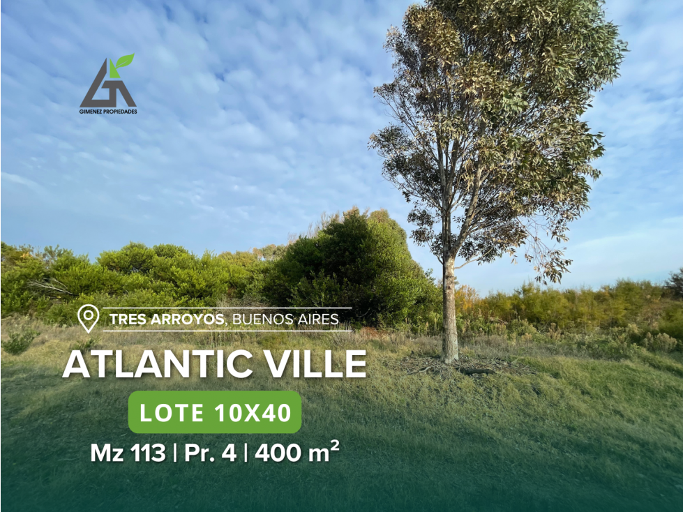 LOTES Atlantic Ville, Tres Arroyos - 4
