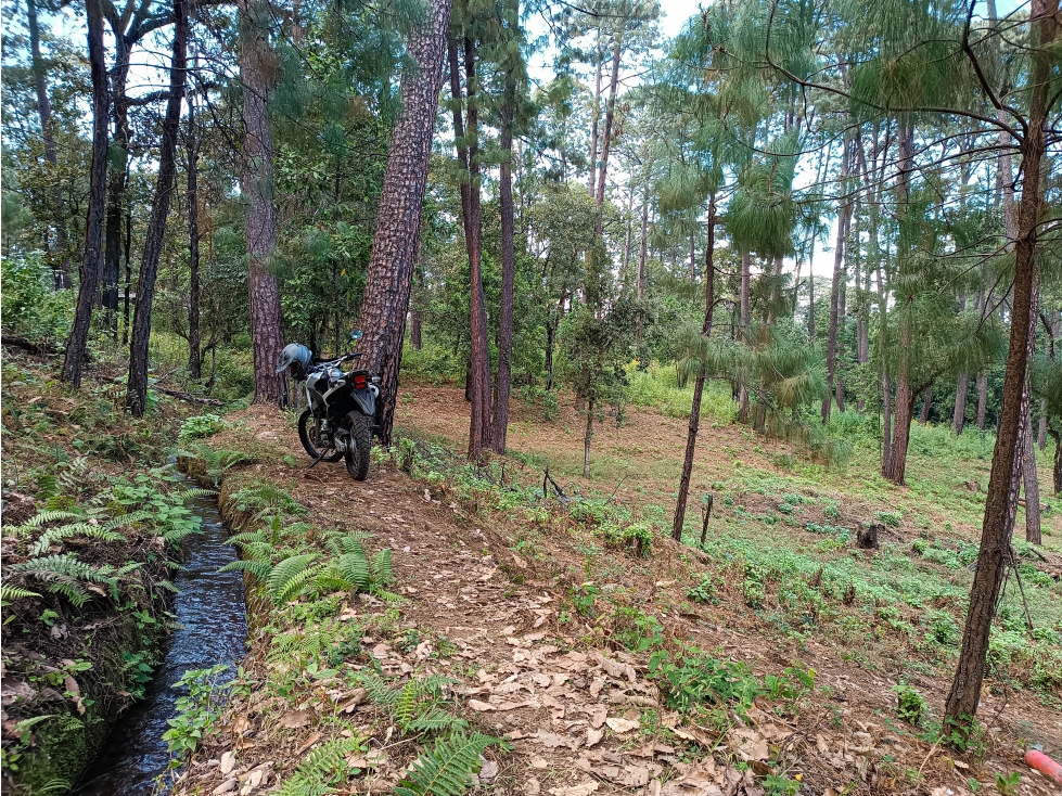TERRENO BOSCOSO EN VENTA EN ZONA RESIDENCIAL DE AVÁNDARO — foto 4