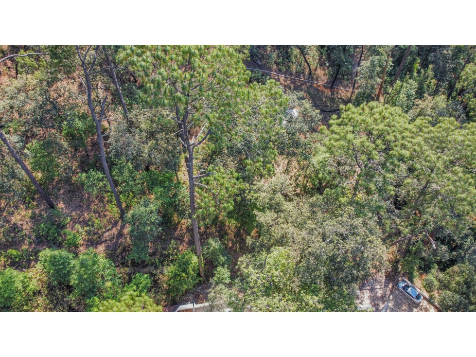 TERRENO EN VENTA EN ZONA BOSCOSA DE AVANDARO — foto 6
