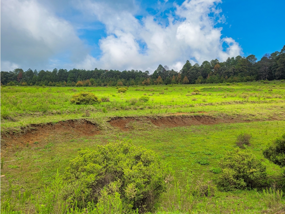 TERRENO PARA RANCHO EN VALLE DE BRAVO — foto 6