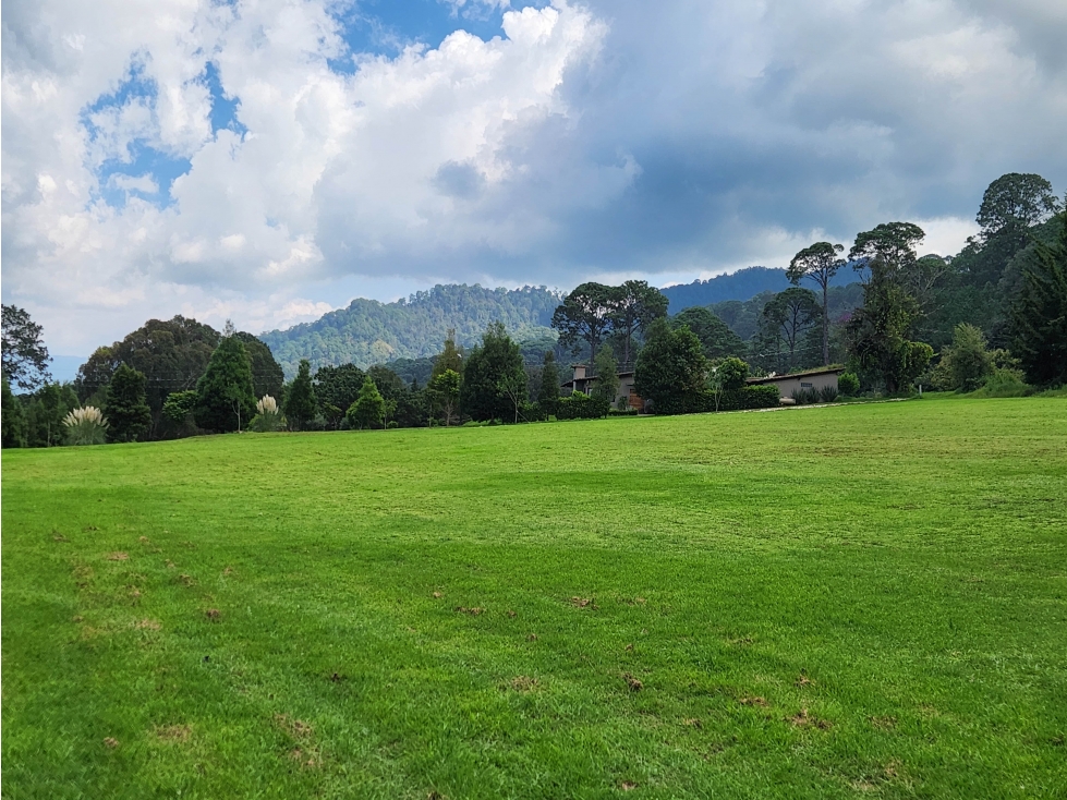 LOTE CAMPESTRE EN VENTA CON VISTAS PANORAMICAS AL BOSQUE — foto 3