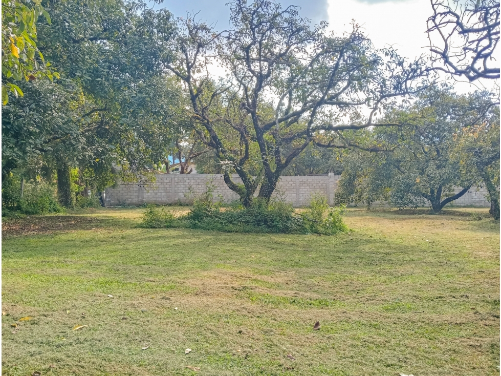 Terreno en venta totalmente plano