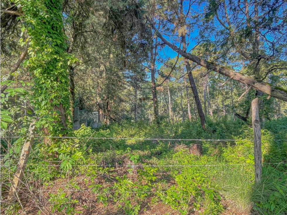 TERRENO EN VENTA EN ZONA DE AVANDARO — foto 2