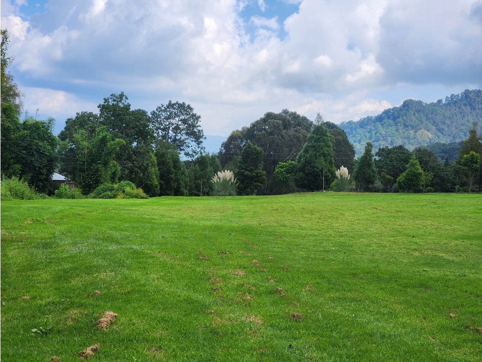 LOTE CAMPESTRE EN VENTA CON VISTAS PANORAMICAS AL BOSQUE — foto 6