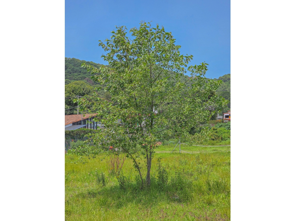 TERRENO EN VENTA EN ACATILAN, VALLE DE BRAVO | ZONA COMERCIAL — foto 4