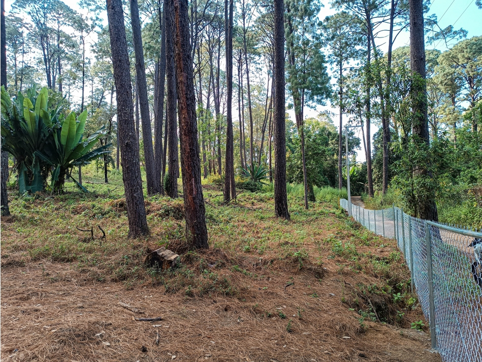 TERRENO BOSCOSO EN VENTA EN ZONA RESIDENCIAL DE AVÁNDARO — foto 6