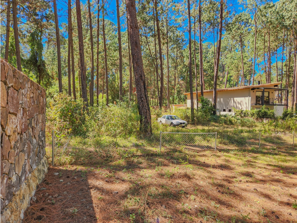 TERRENO EN VENTA EN AVÁNDARO | 1250 m² EN ZONA RESIDENCIAL - 3