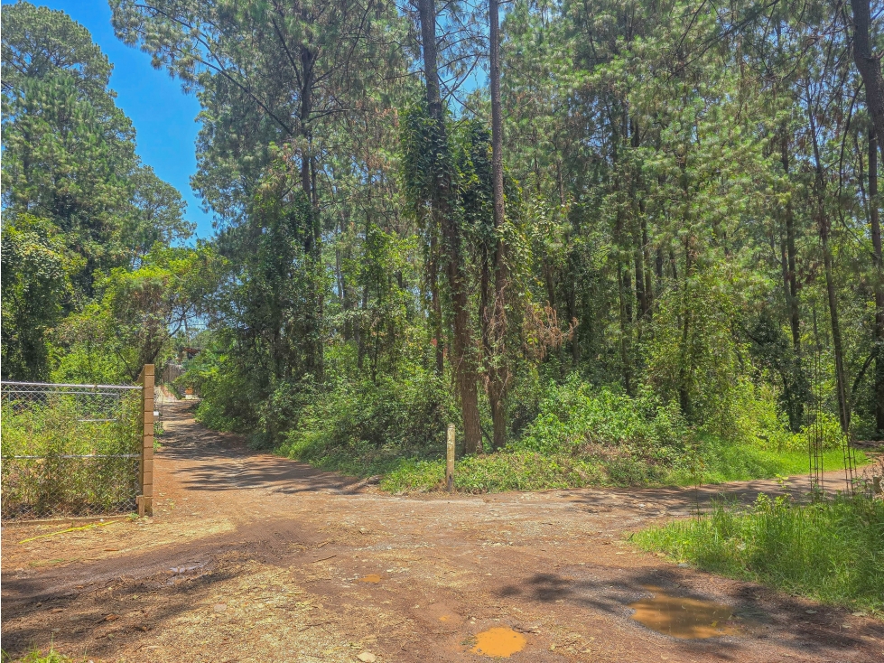 LOTE EN VENTA EN ZONA RESIDENCIAL EN AVANDARO | OPORTUNIDAD — foto 6