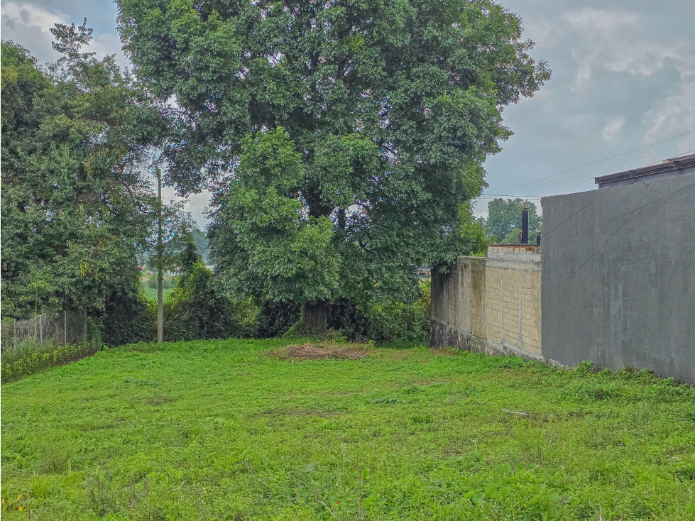 LOTE EN VENTA A 10 MINUTOS DEL CENTRO DE AVANDARO | PROPIEDAD PRIVADA — foto 5
