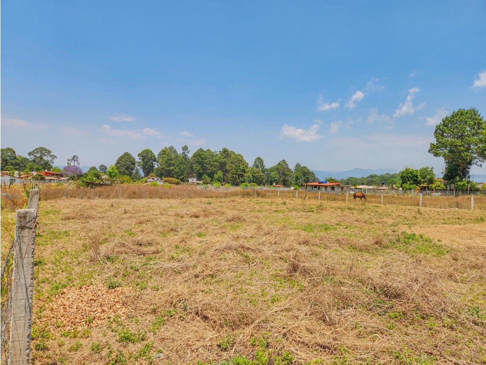 TERRENO PLANO EN VENTA CERCA DE AVÁNDARO | PROPIEDAD PRIVADA — foto 3