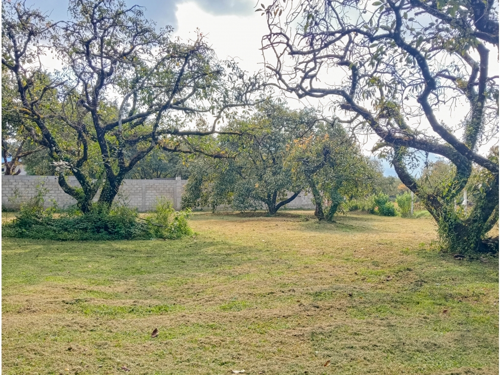 TERRENO EN VENTA EN CASAS VIEJAS; VALLE DE BRAVO, 1000m2 — foto 2