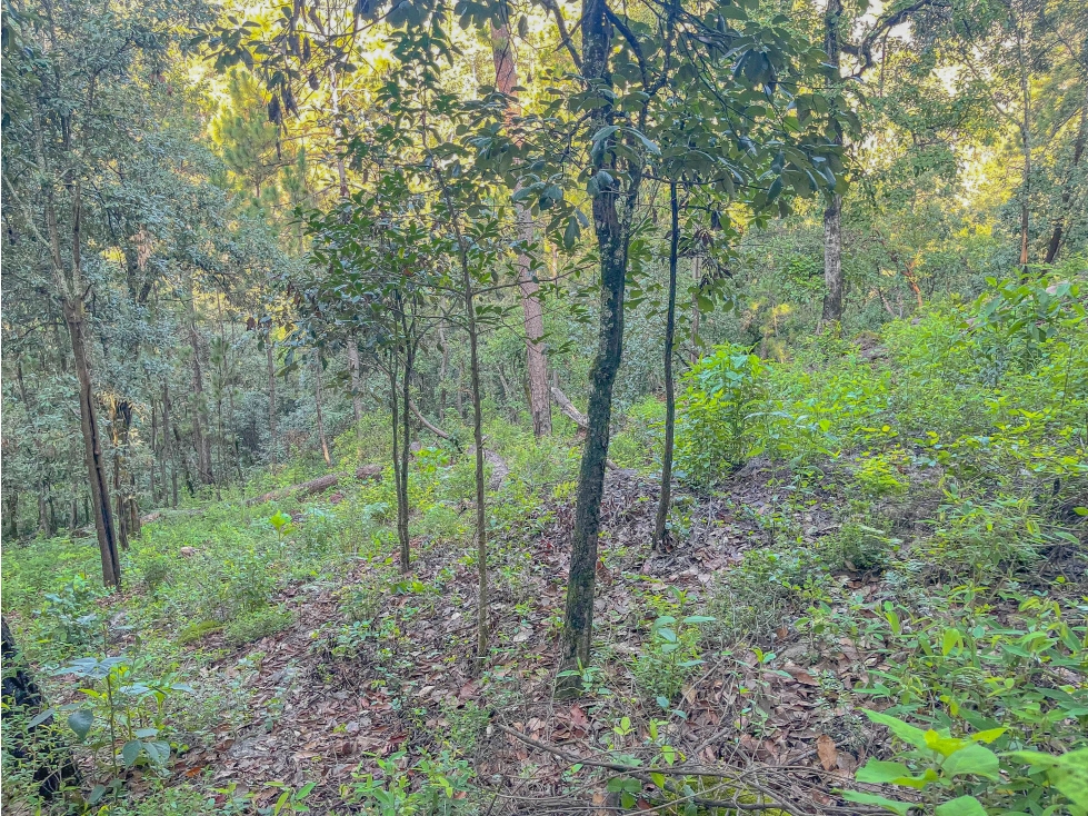 TERRENO EN VENTA EN ZONA DE AVANDARO — foto 4