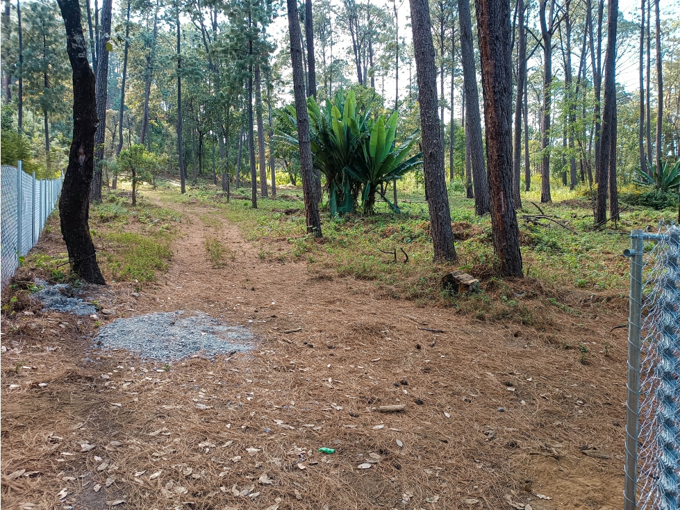 TERRENO BOSCOSO EN VENTA EN ZONA RESIDENCIAL DE AVÁNDARO — foto 2