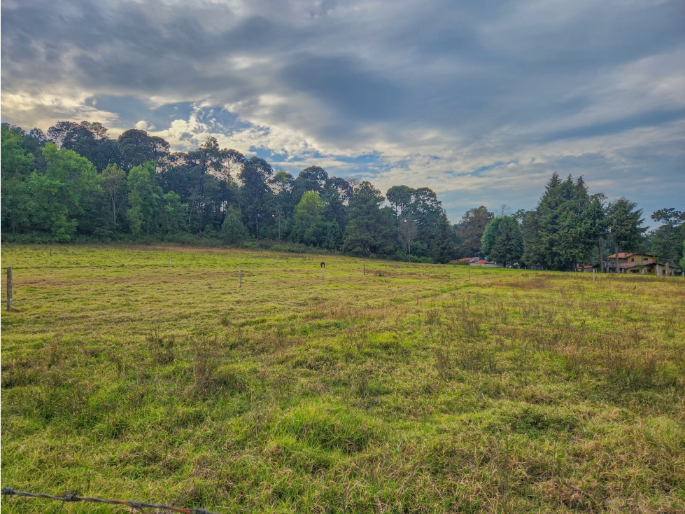 TERRENOS EN VENTA CON VISTA PANORAMICA CERCA DEL CENTRO DE AVÁNDARO — foto 3