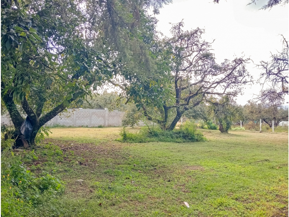 TERRENO EN VENTA EN CASAS VIEJAS; VALLE DE BRAVO, 1000m2 — foto 3