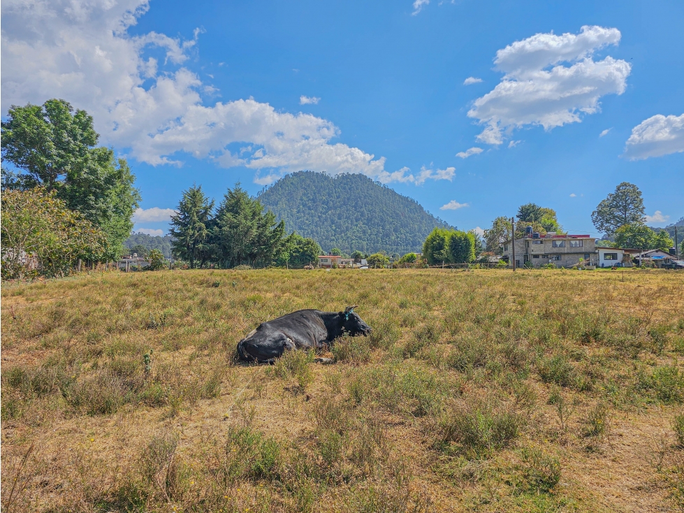 LOTE EN VENTA CON VISTA A LAS MONTAÑAS A 10 MINUTOS DE AVÁNDARO — foto 2