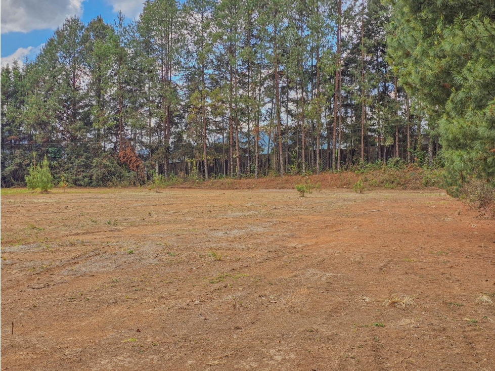 LOTE EN VENTA CON ALTO POTENCIAL EN ZONA ESTRATEGICA — foto 6