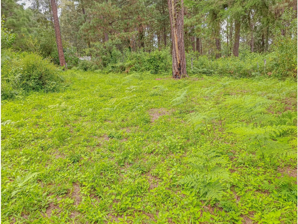 TERRENO EN VENTA EN AVÁNDARO | ÚLTIMO LOTE EN PRIVADA, 901.11 m2 - 3
