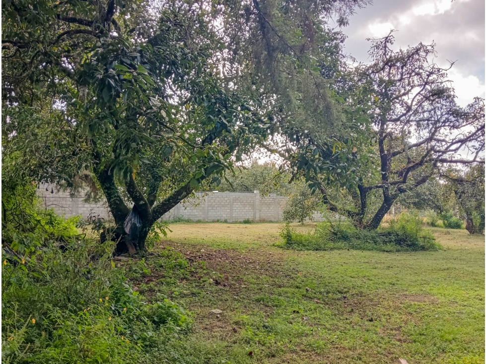 TERRENO EN VENTA EN CASAS VIEJAS; VALLE DE BRAVO, 1000m2 — foto 4