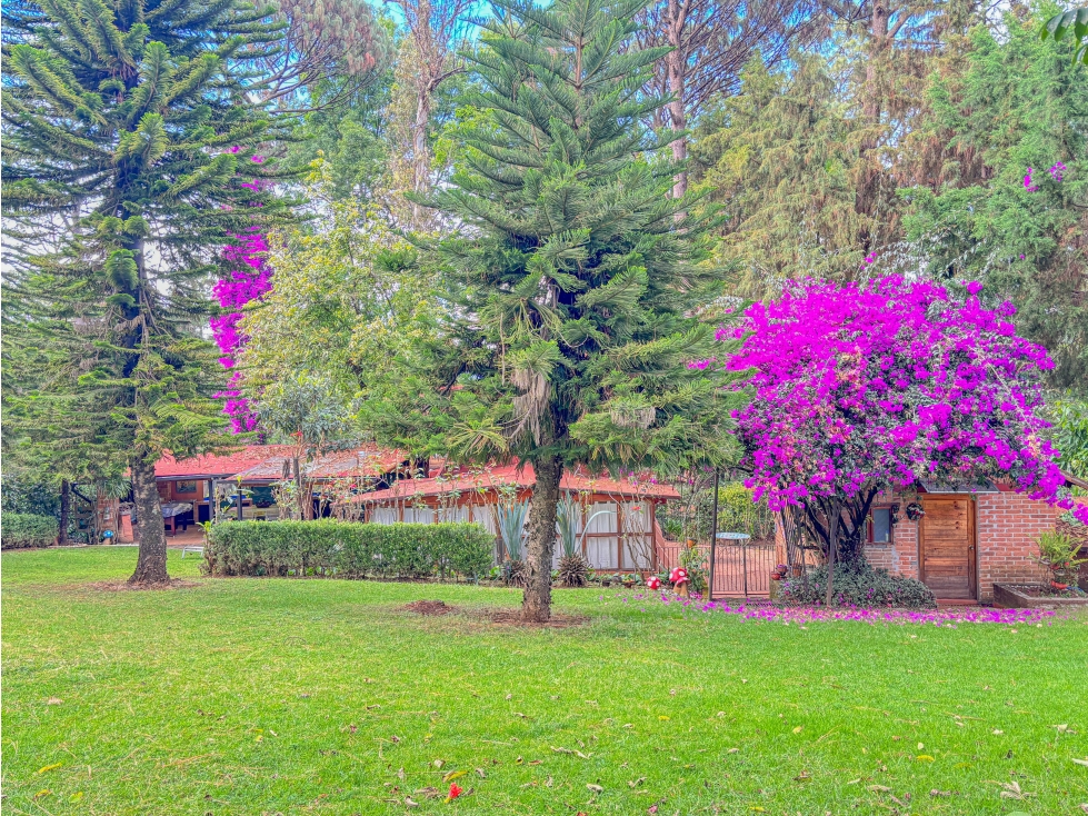 CABAÑA EN VENTA EN EL CENTRO DE AVÁNDARO | AMUEBLADA — foto 4