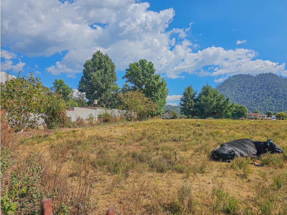 LOTE EN VENTA CON VISTA A LAS MONTAÑAS A 10 MINUTOS DE AVÁNDARO — foto 3