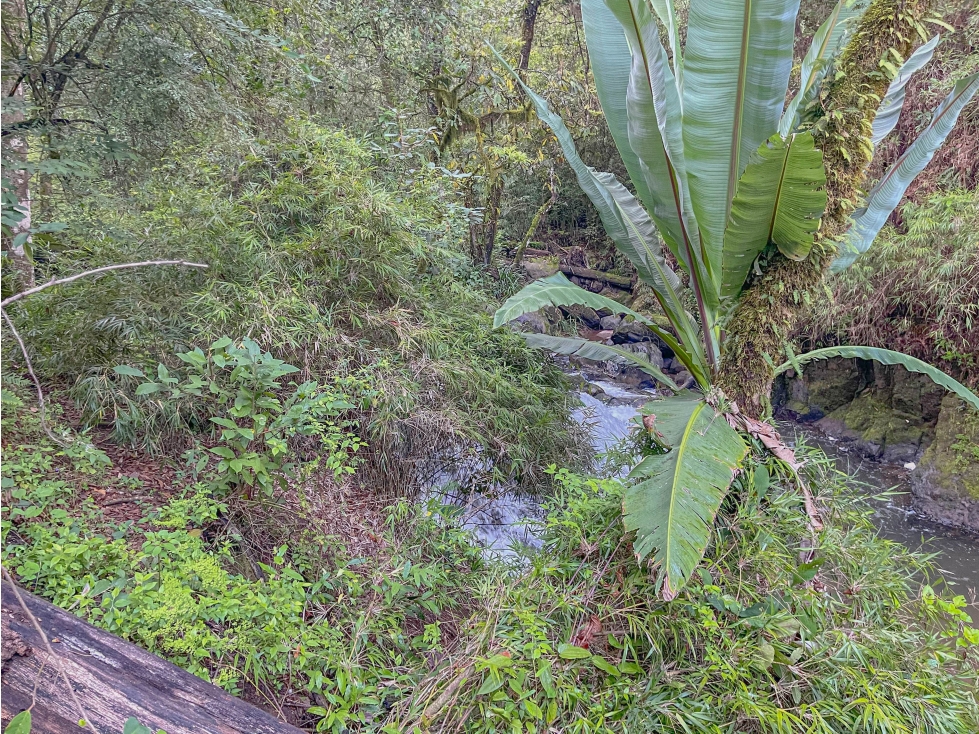 TERRENO EN VENTA EN ZONA DE AVANDARO — foto 5