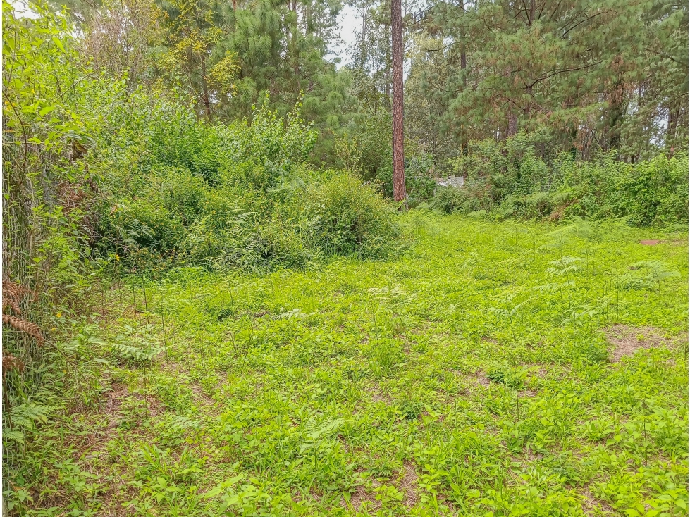 TERRENO EN VENTA EN AVÁNDARO | ÚLTIMO LOTE EN PRIVADA, 901.11 m2 - 4