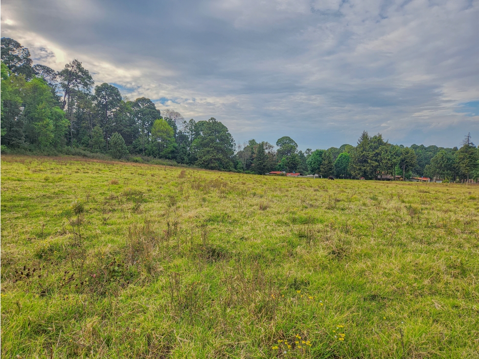 TERRENOS EN VENTA CON VISTA PANORAMICA CERCA DEL CENTRO DE AVÁNDARO — foto 5