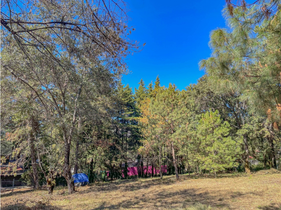 TERRENO EN ZONA RESIDENCIAL EN ACATITLAN — foto 5