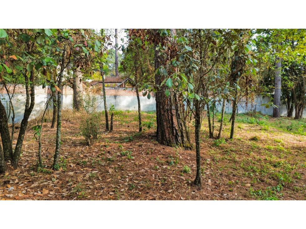 LOTE EN VENTA EN AVANDARO — foto 5