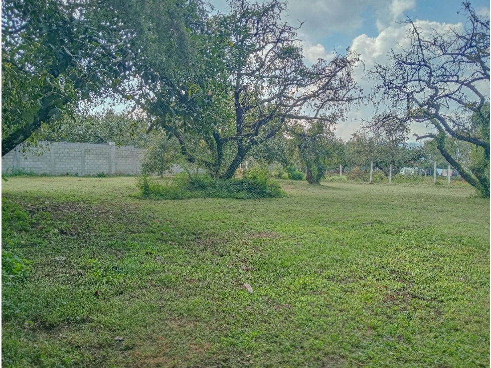 TERRENO EN VENTA EN CASAS VIEJAS; VALLE DE BRAVO, 1000m2 — foto 5