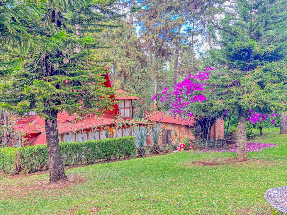 CABAÑA EN VENTA EN EL CENTRO DE AVÁNDARO | AMUEBLADA — foto 5
