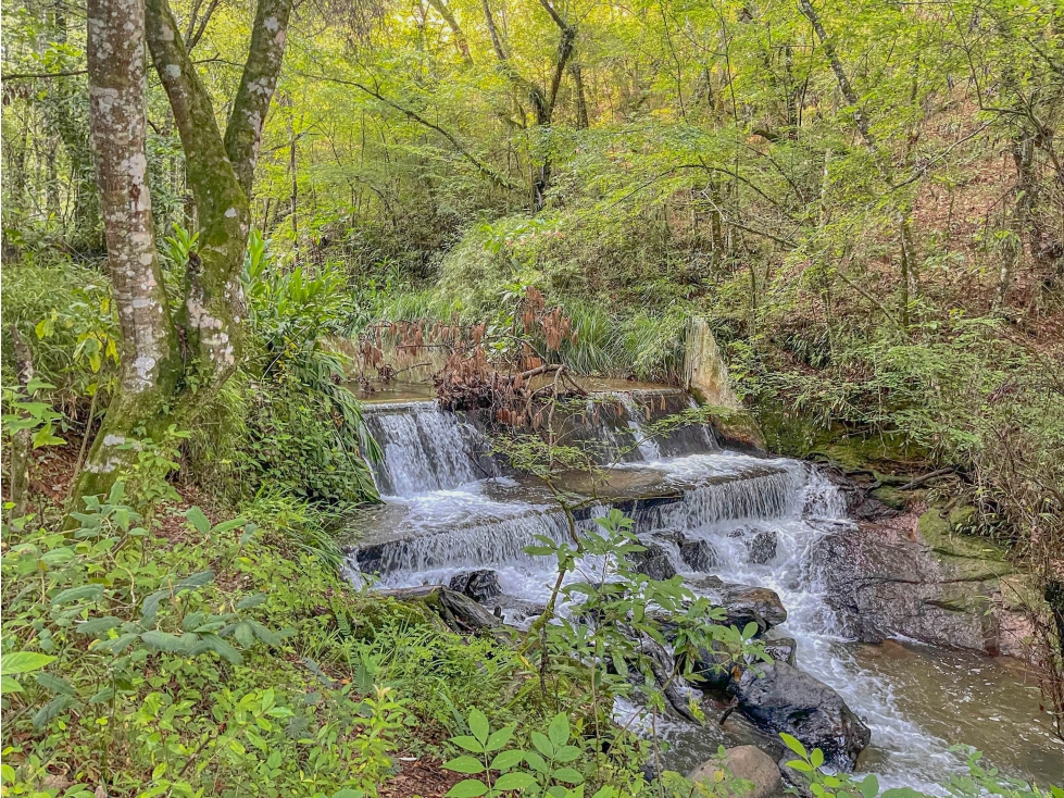 TERRENO EN VENTA EN ZONA DE AVANDARO — foto 3