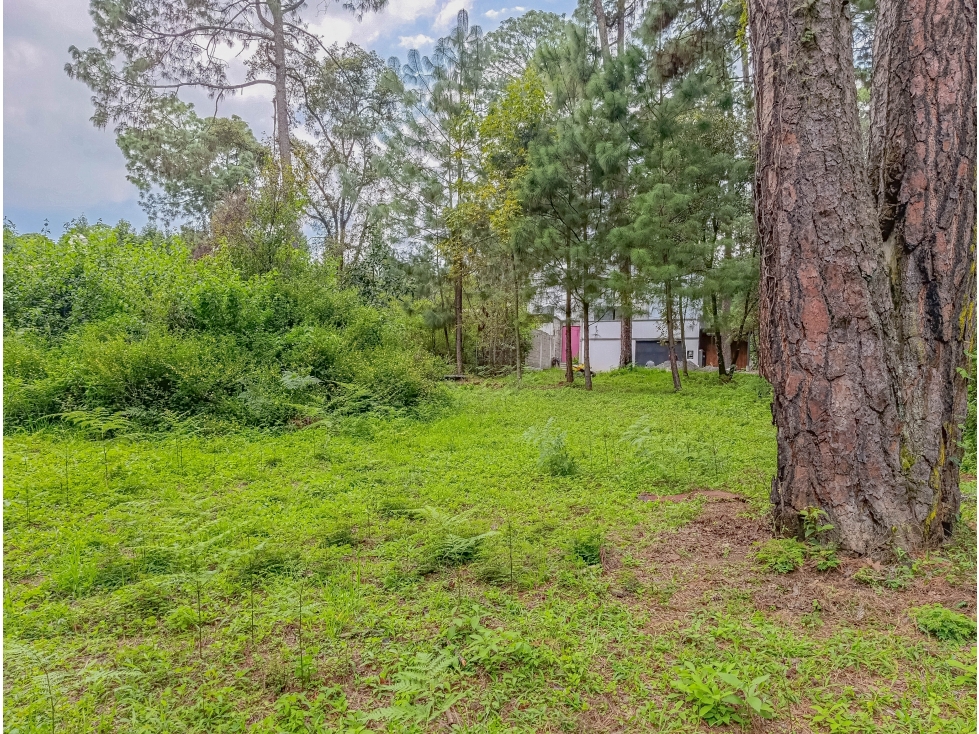 TERRENO EN VENTA EN AVÁNDARO | ÚLTIMO LOTE EN PRIVADA, 901.11 m2 - 5