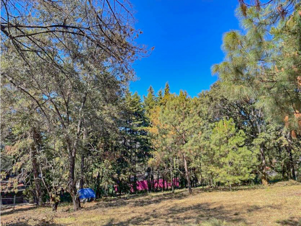 TERRENO EN ZONA RESIDENCIAL EN ACATITLAN — foto 6