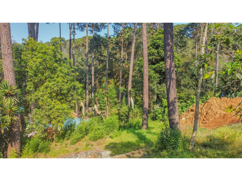 TERRENO EN VENTA EN EL CENTRO DE AVÁNDARO | OPORTUNIDAD — foto 6