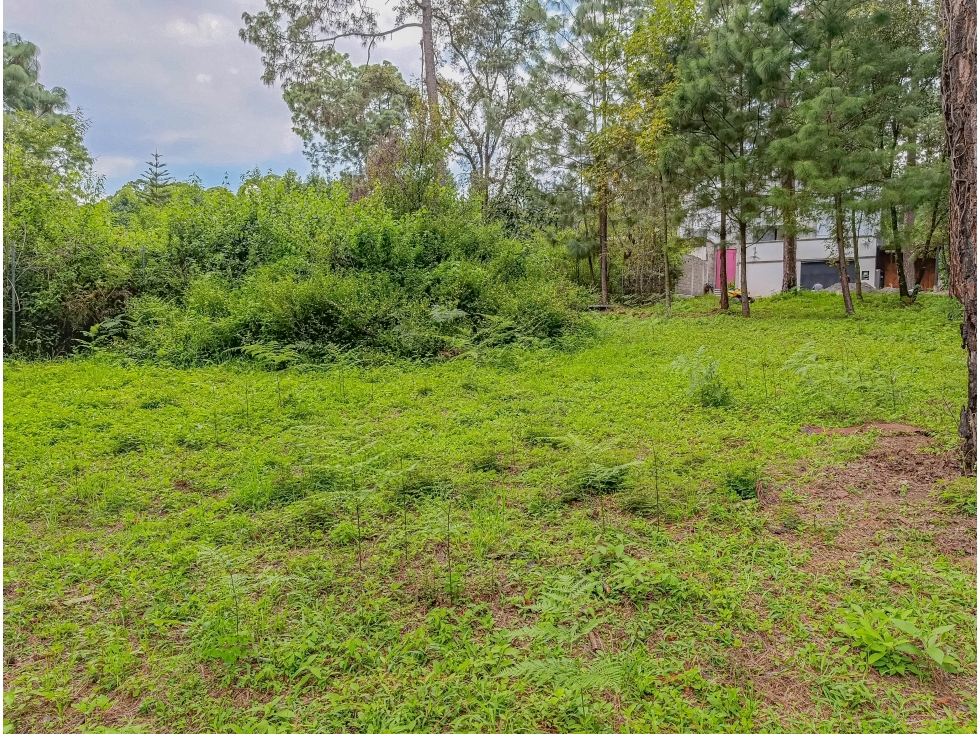 TERRENO EN VENTA EN AVÁNDARO | ÚLTIMO LOTE EN PRIVADA, 901.11 m2 - 6