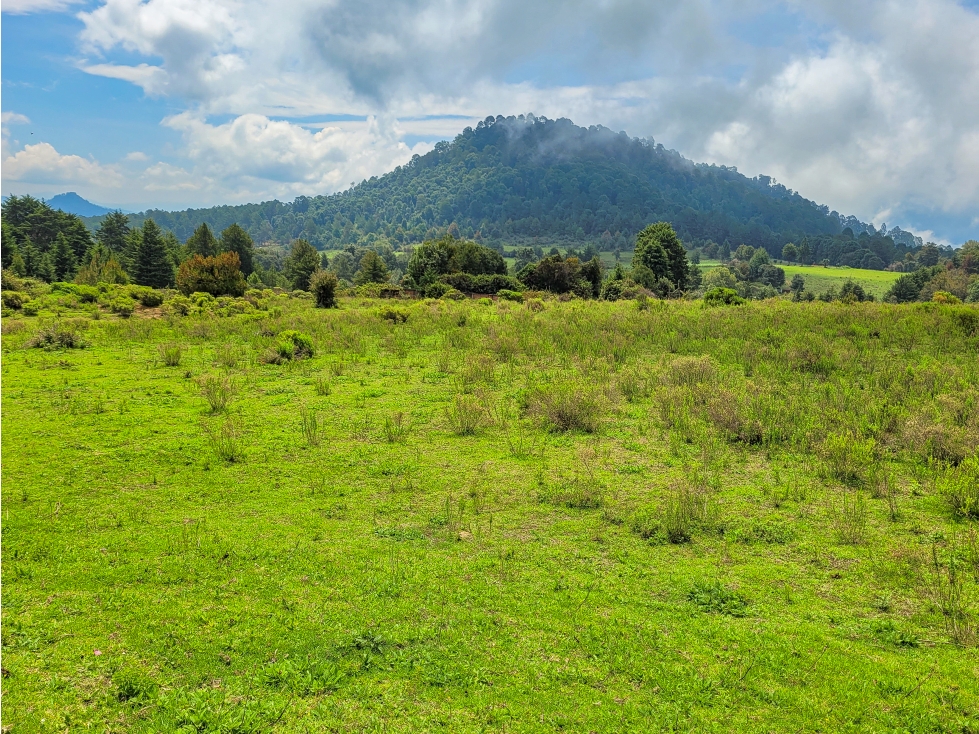 TERRENO PARA RANCHO EN VALLE DE BRAVO — foto 2