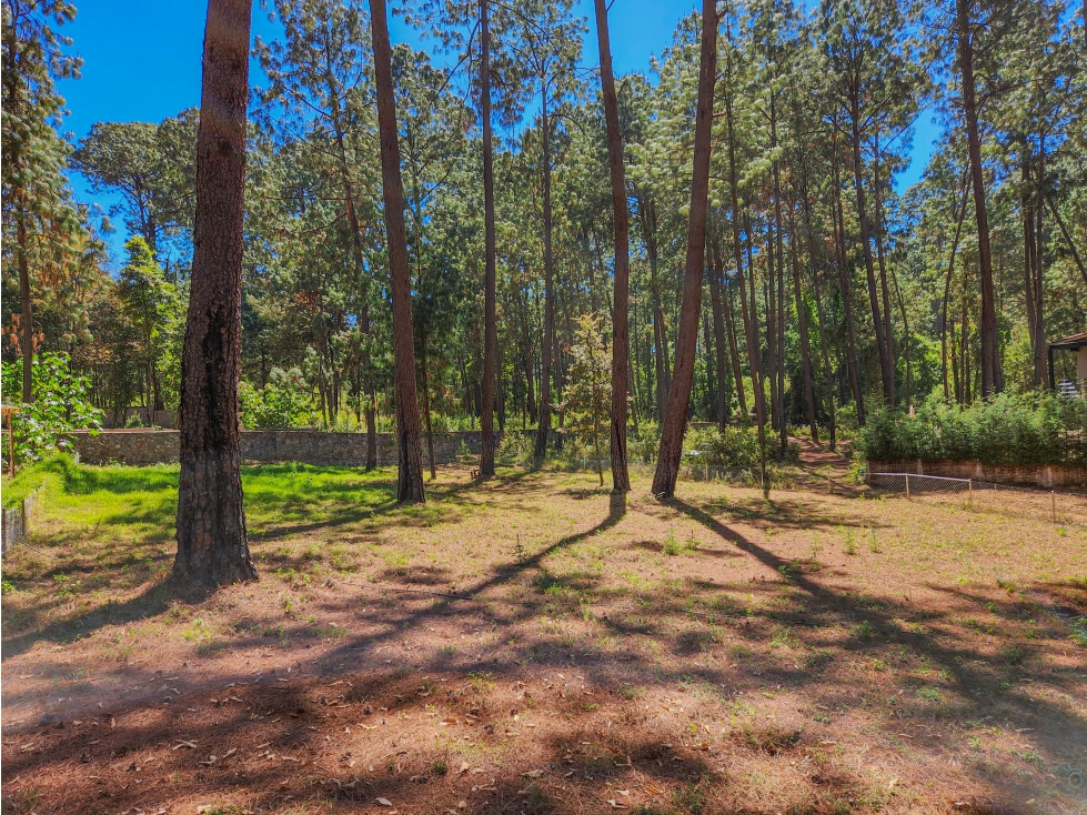 TERRENO EN VENTA EN AVÁNDARO | 1250 m² EN ZONA RESIDENCIAL - 6