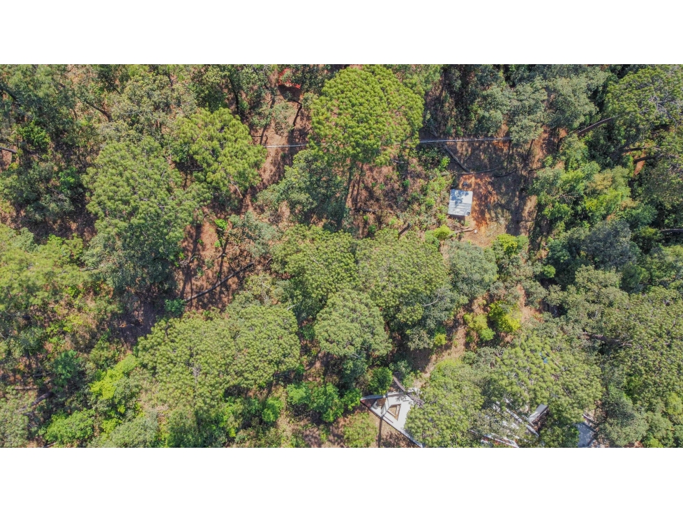 TERRENO EN VENTA EN ZONA BOSCOSA DE AVANDARO — foto 3
