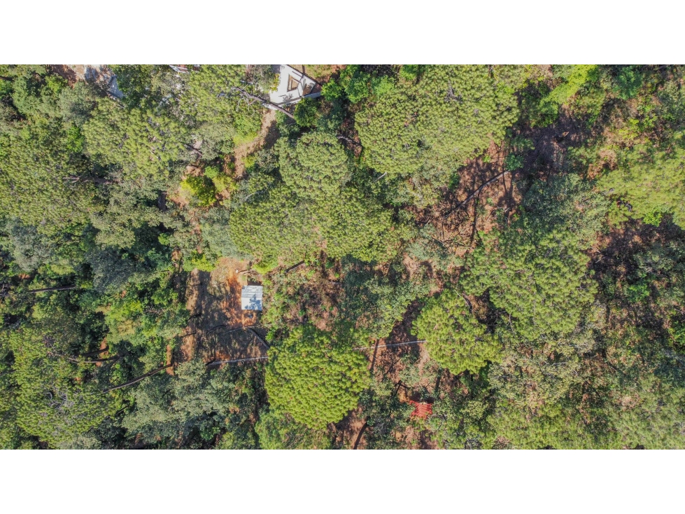 TERRENO EN VENTA EN ZONA BOSCOSA DE AVANDARO — foto 4