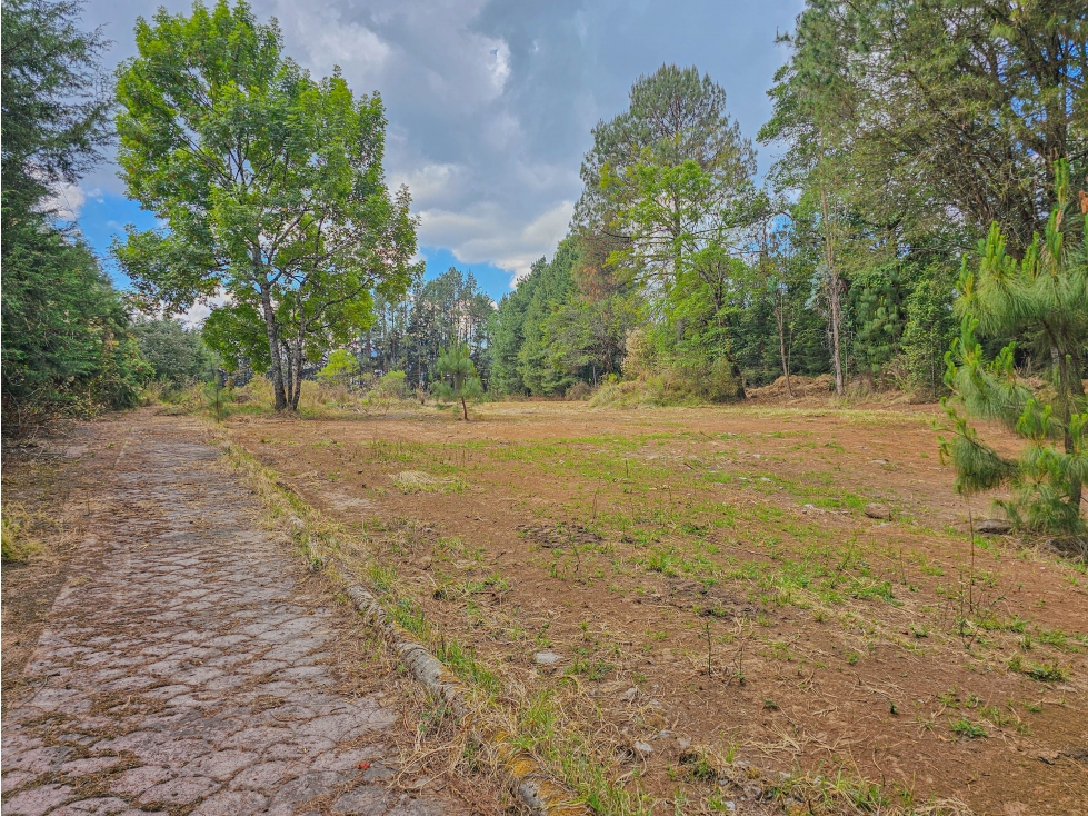 LOTE TOTALMENTE PLANO PARA USO COMERCIAL EN VENTA | FRESNO