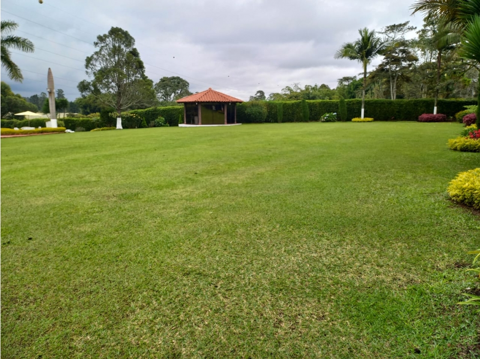 Hermosa finca en Llano Grande sector Chocolin — foto 4