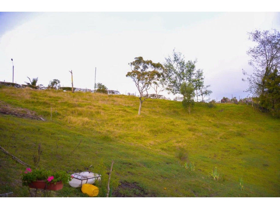 Lote en venta vereda La Clara Guarne