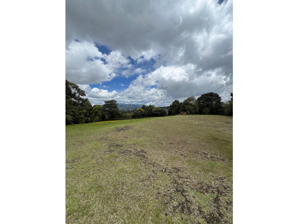 Lote en venta en Altos de Palmas — foto 2