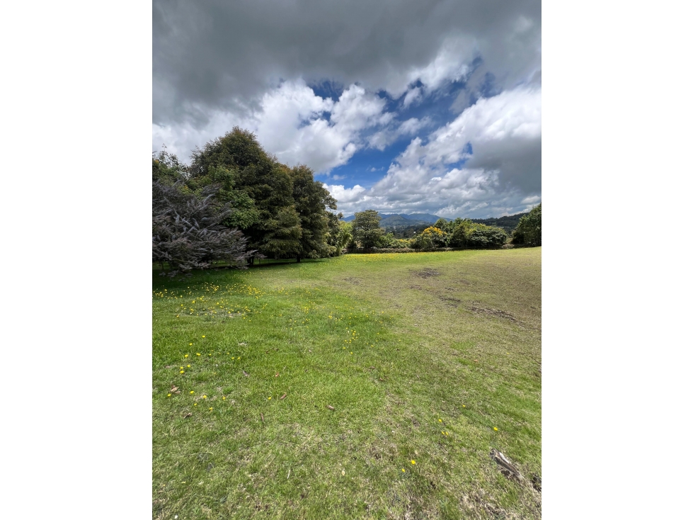 Lote en venta en Altos de Palmas